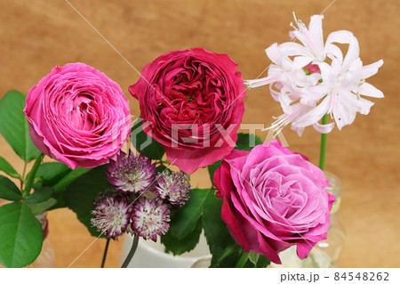 生け花 ローズカーマインクラシック 生け花 ローズカーマインクラシック 84548262