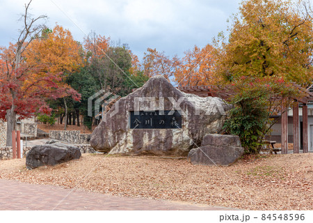 山梨県森林公園、金川の森公園の石碑 84548596