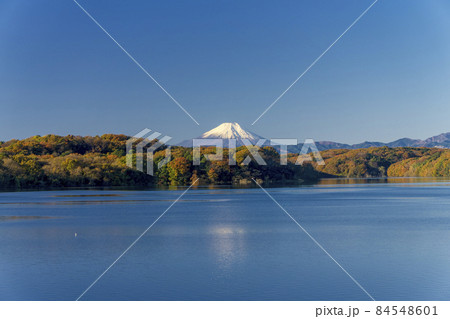 紅葉の狭山湖 堤体上から見る青空の紅葉した丘陵と富士山 紅葉の狭山湖 堤体上から見る青空の紅葉した丘陵と富士山 84548601