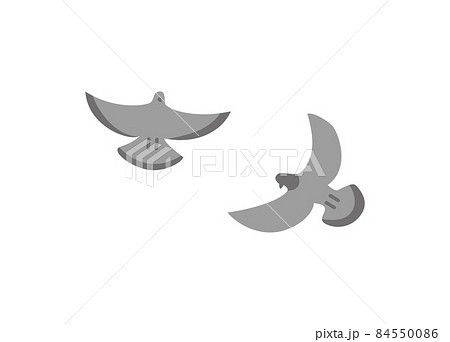Couple Grey Flying Doves Isolated on White Vector Couple Grey Flying Doves Isolated on White Vector 84550086