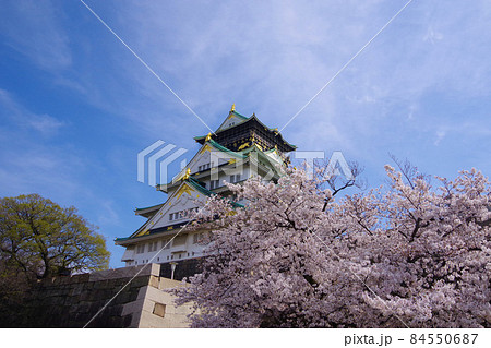 大阪城　春の桜　大阪のシンボル　青空　天守閣　ソメイヨシノ 84550687