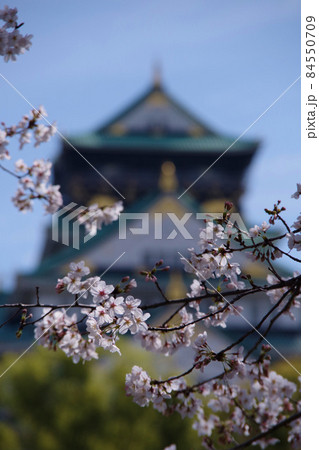大阪城 春の桜 大阪のシンボル 青空 天守閣 ソメイヨシノ 大阪城 春の桜 大阪のシンボル 青空 天守閣 ソメイヨシノ 84550709