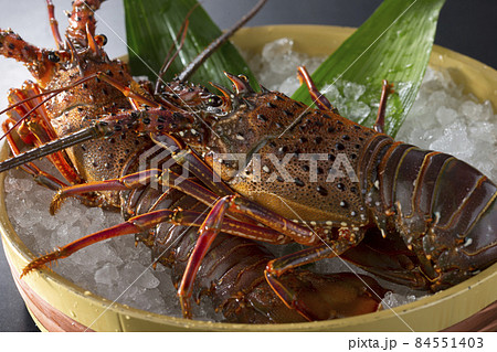 桶から飛び出しそうな活け伊勢海老 84551403