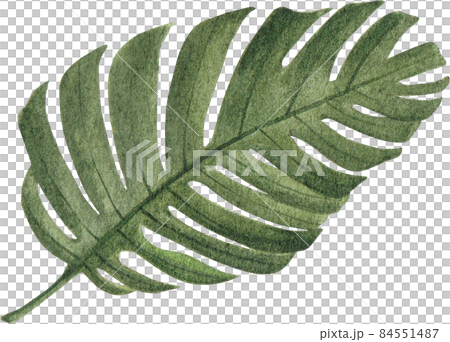 Green leave watercolor clipart png 84551487