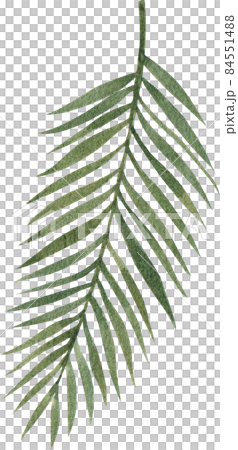 Green leave watercolor clipart png 84551488