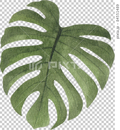 Green leave watercolor clipart png 84551489