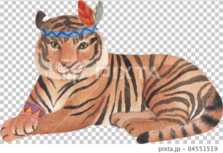 Tiger Jungle tribal animal watercolor clipart png 84551519