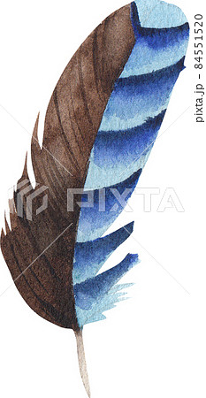Vintage pastel boho illustrated feather watercolor clipart png 84551520