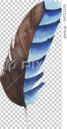 Vintage pastel boho illustrated feather watercolor clipart png 84551520
