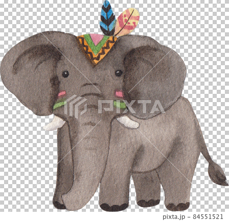 Elephant Jungle tribal animal watercolor clipart png 84551521