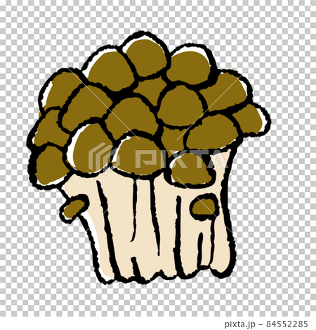 Bunashimeji 的矢量圖 Bunashimeji 的矢量圖 84552285