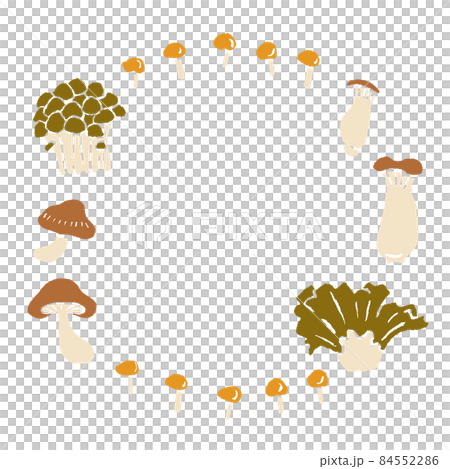 いろいろなきのこのイラストフレーム ベクター素材 いろいろなきのこのイラストフレーム ベクター素材 84552286