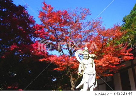紅葉に浮かび上がる天王院仁王像 紅葉に浮かび上がる天王院仁王像 84552344