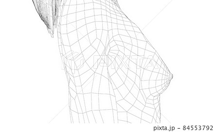 Wireframe female breast. Close-up view Wireframe female breast. Close-up view 84553792