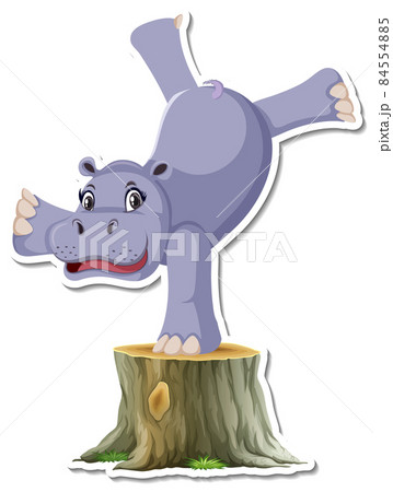 Hippopotamus dancing cartoon character on white background Hippopotamus dancing cartoon character on white background 84554885
