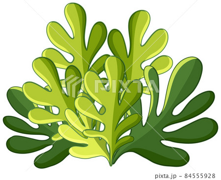 Green bush in cartoon style 84555928