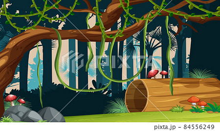 Nature forest landscape background Nature forest landscape background 84556249