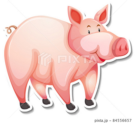 Pig farm animal cartoon sticker 84556657