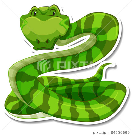 Snake cartoon character on white background - Stock Illustration [84556699]  - PIXTA