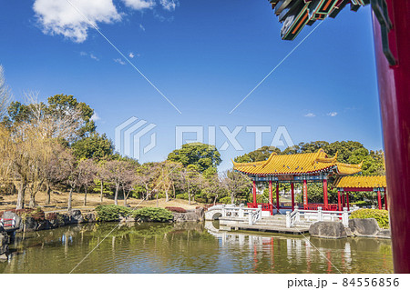 日本の中国庭園　「瀋秀園」の風景　【神奈川県・川崎市】 84556856