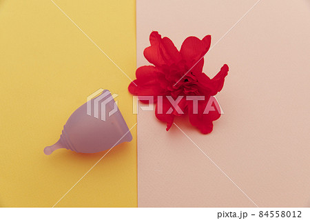 Menstrual cup with red flower. Eco-friendly and modern way of women's hygiene concept Menstrual cup with red flower. Eco-friendly and modern way of women's hygiene concept 84558012