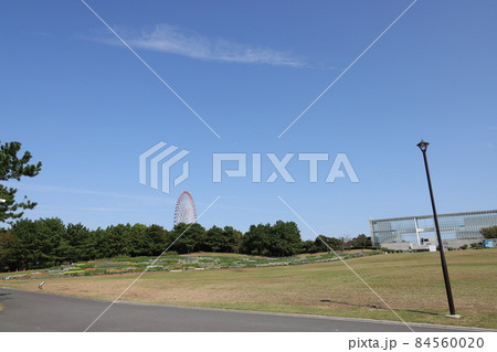 東京都江戸川区の葛西臨海公園の風景 84560020