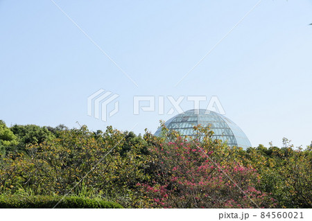 東京都江戸川区の葛西臨海公園の風景 84560021