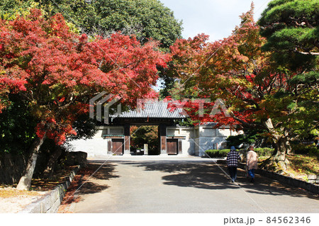 毛利氏庭園　毛利邸　防府市　紅葉　秋 84562346