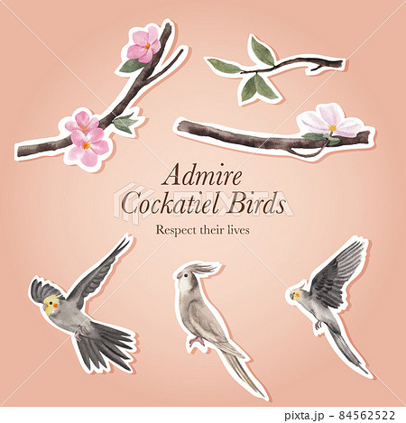 Sticker template with cockatiel bird concept,watercolor style Sticker template with cockatiel bird concept,watercolor style 84562522