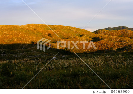 カルスト台地の秋吉台 秋の朝の風景 カルスト台地の秋吉台 秋の朝の風景 84562900