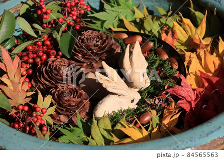 秋のイメージ　ディスプレイ 84565563