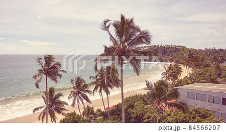 Tropical beach with coconut palm trees and sea view, color toning applied, Sri Lanka. 84566207