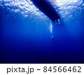 水中の絶景 宮古島 84566462