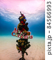 水中クリスマスツリー 84566993