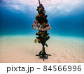 水中クリスマスツリー 84566996