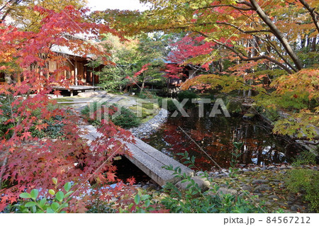 山口県防府市の防府天満宮の表参道途中の脇にある茶室芳松庵と池の紅葉 84567212