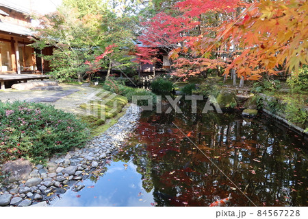 山口県防府市の防府天満宮の表参道途中の脇にある茶室芳松庵と池の紅葉 84567228