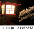 夜のライトに照らされた桜 夜のライトに照らされた桜 84567242