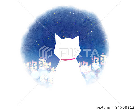 夜の都会を見つめる猫 84568212