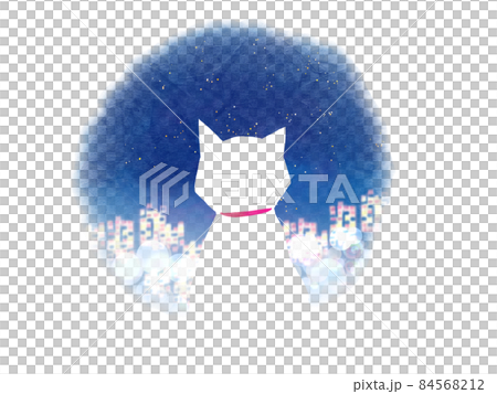 夜の都会を見つめる猫 84568212