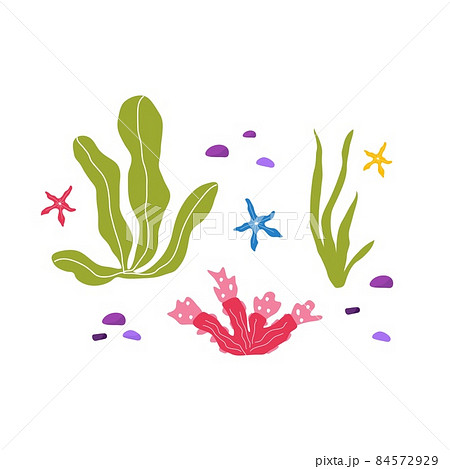 Underwater seaplants and corals, set with marine animals for fabric, textile, wallpaper, nursery decor, prints, childish background. Vector. Underwater seaplants and corals, set with marine animals for fabric, textile, wallpaper, nursery decor, prints, childish background. Vector. 84572929