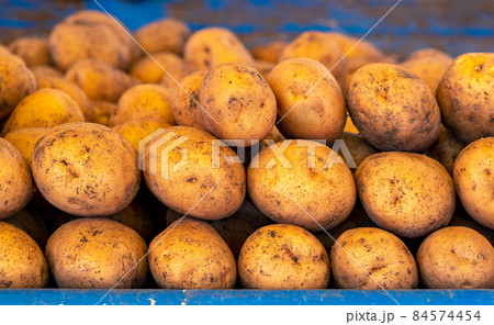 potato tubers on the counter in the local market close-up potato tubers on the counter in the local market close-up 84574454