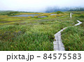 虎毛山山頂の高層湿原を渡る木道 84575583