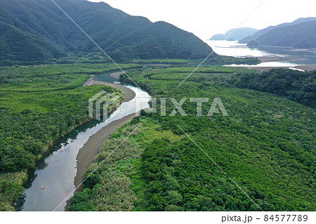 奄美市住用町のマングローブ原生林の空撮 84577789