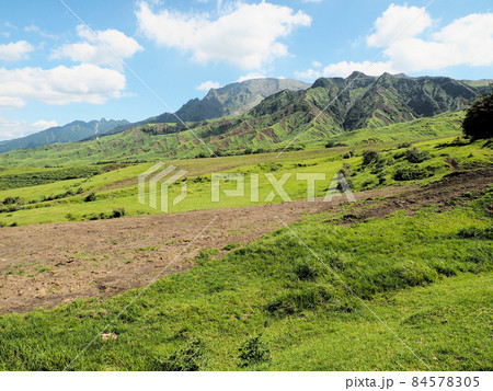 阿蘇登山道吉田線から見た夏の終わりの阿蘇山 熊本県阿蘇市蔵原 阿蘇登山道吉田線から見た夏の終わりの阿蘇山 熊本県阿蘇市蔵原 84578305