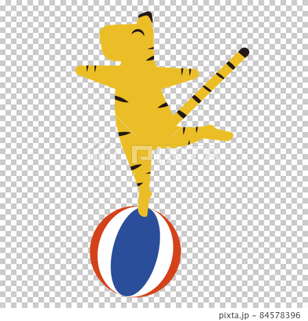 Tiger riding a ball 84578396