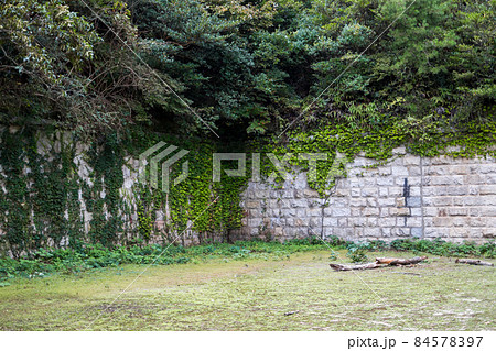 【大久野島】北部砲台跡の隅 【大久野島】北部砲台跡の隅 84578397