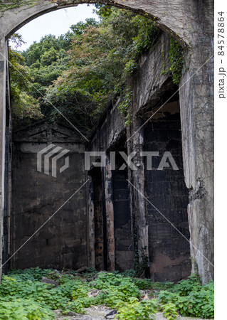 【大久野島】毒ガス貯蔵庫とウサギさん 84578864