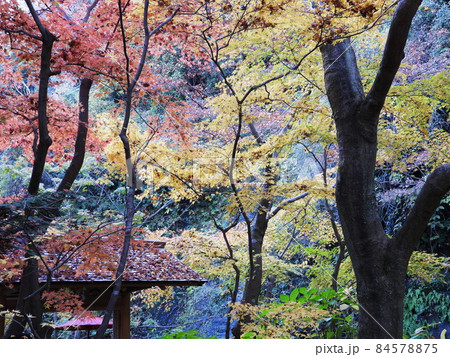 一条恵観山荘 Ichijo Ekan Sanso 一条恵観山荘 Ichijo Ekan Sanso 84578875