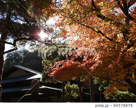 一条恵観山荘　Ichijo Ekan Sanso 84578878